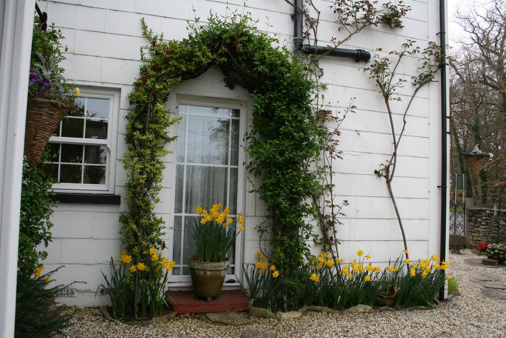 Clayhill House Bed & Breakfast Lyndhurst Dış mekan fotoğraf